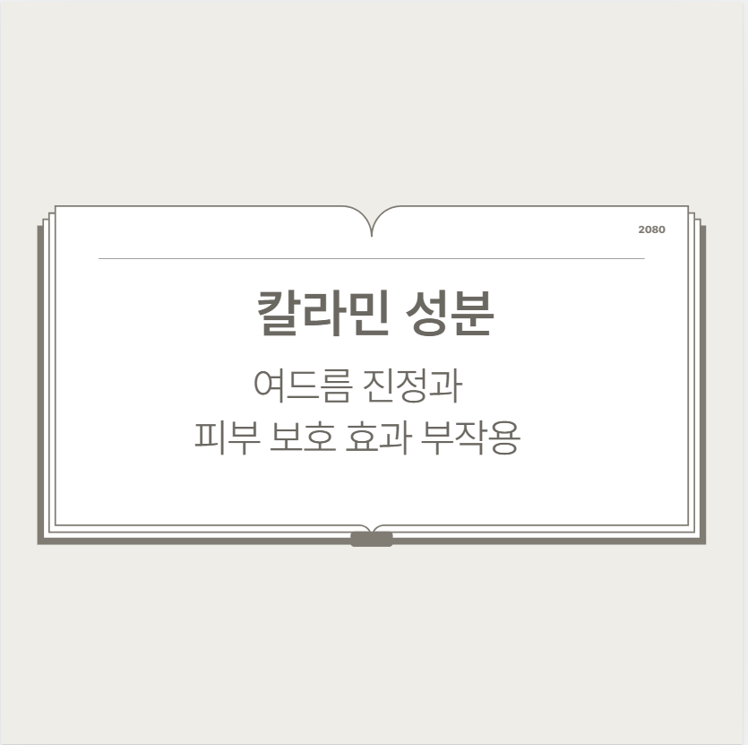 칼라민 성분 여드름 진정과 피부 보호 효과 부작용